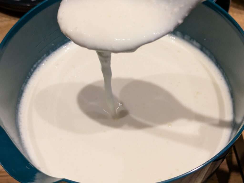 Milch Kefir