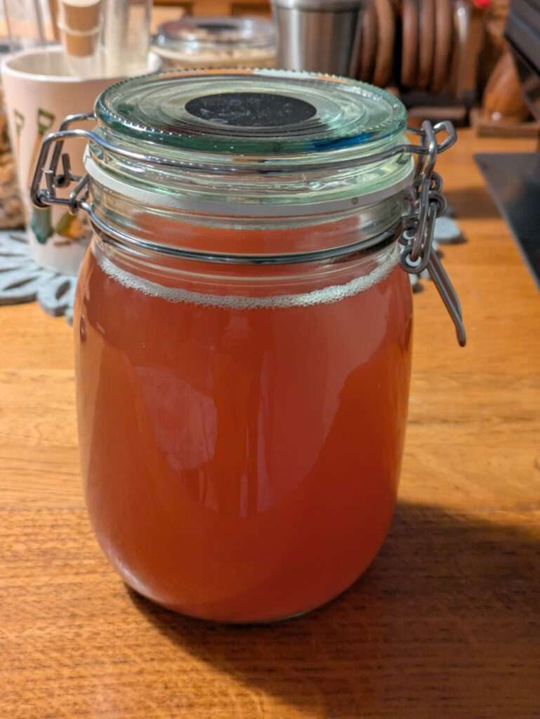 Rhabarber Wasser Kefir