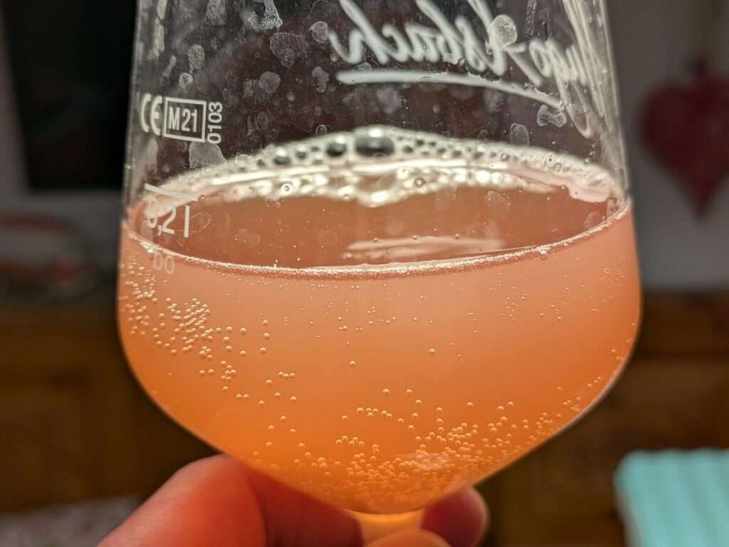 Rhabarber Wasser Kefir